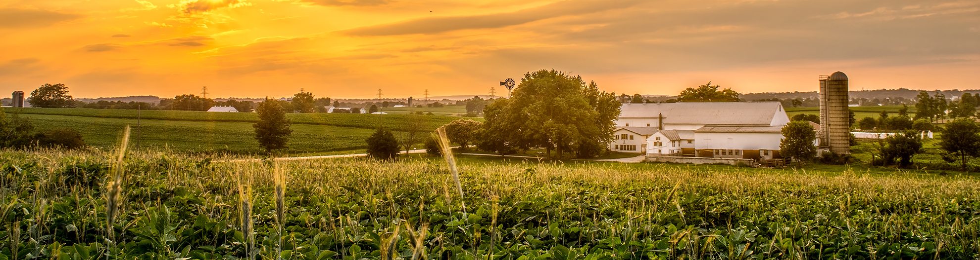 A beautiful sunset over the fields and farms.